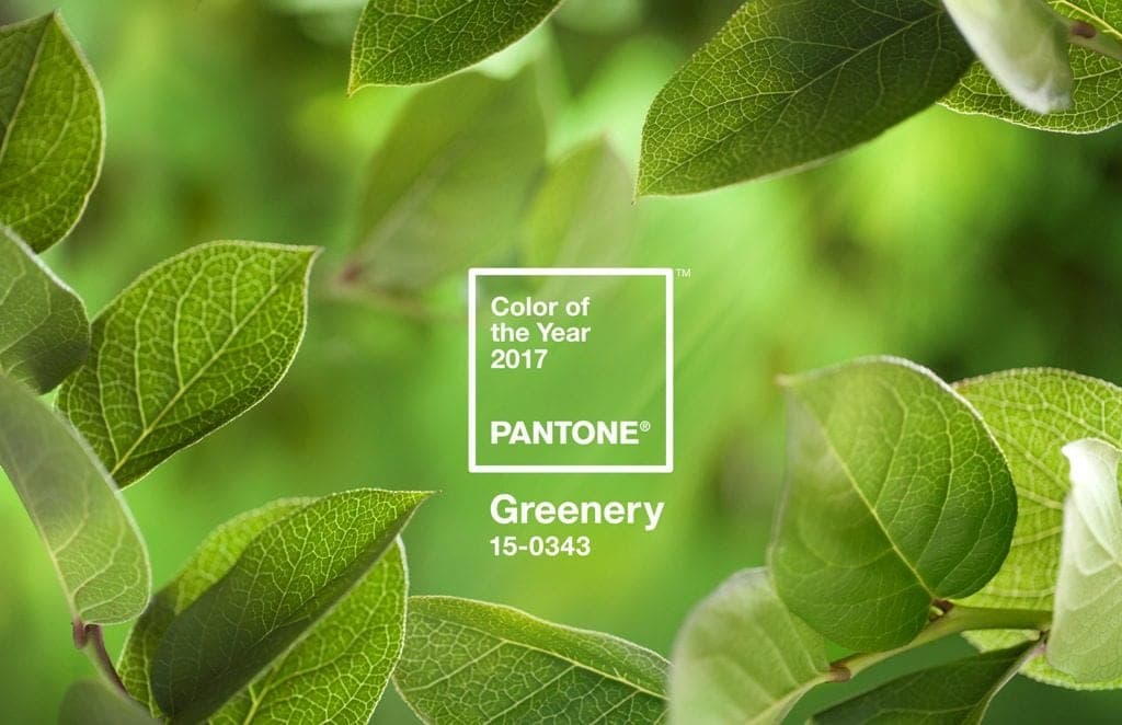 Cor do ano pela Pantone, Greenery ilustra post sobre tendências da primavera