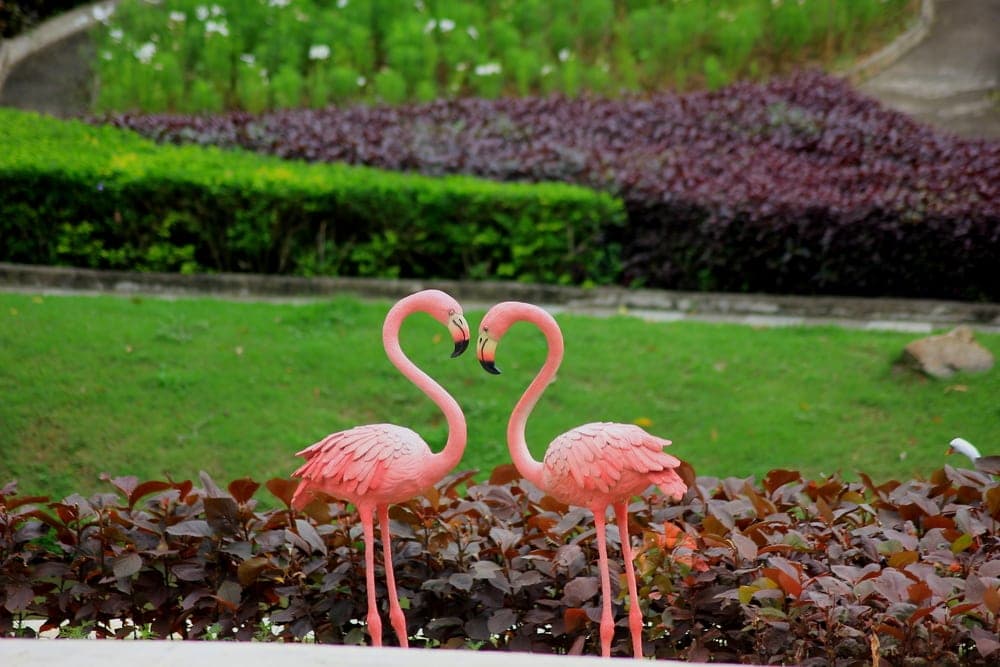 Esculturas de flamingo decoram jardim e ilustram post sobre tendências da primavera