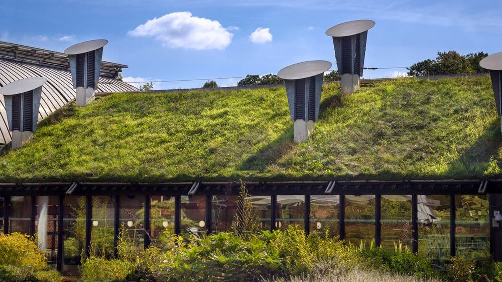 Imagem com grama no telhado da casa ilustra post sobre beneficios de colocar grama no telhado da casa, do blog da Soma Urbanismo
