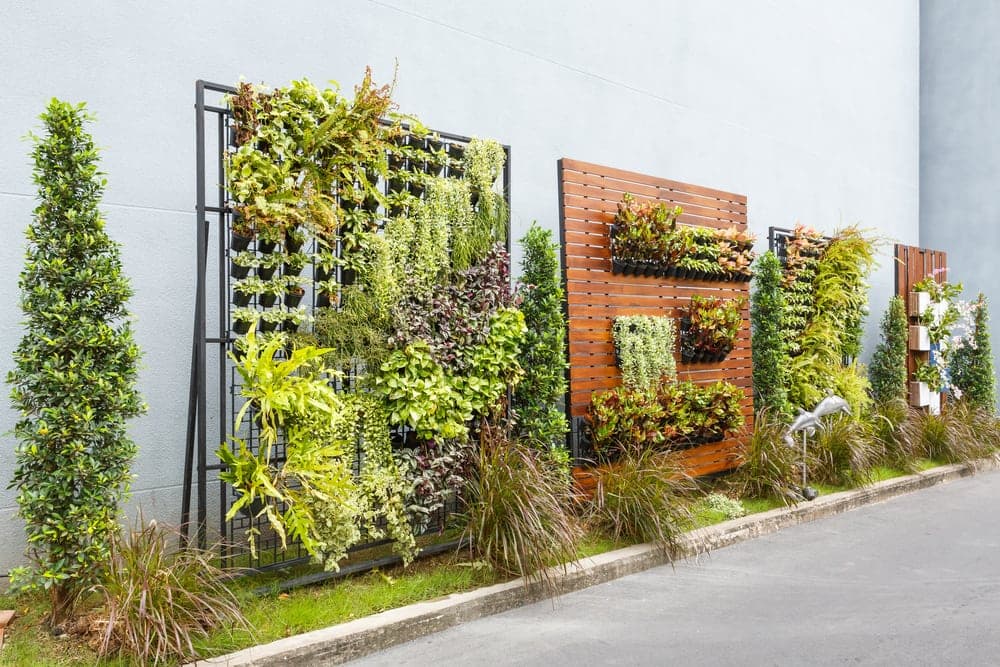 Imagem de jardim vertical ilustra post "Aprenda a levar seu jardim pra dentro de casa", do blog da Soma Urbanismo