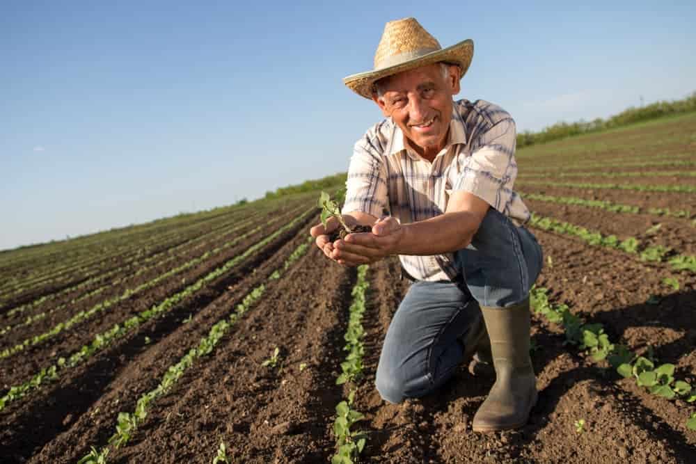 Produtor rural tem benefícios para pagar lote