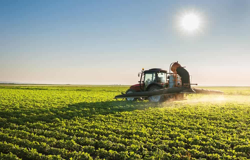 Como anda a produção rural no Espírito Santo?