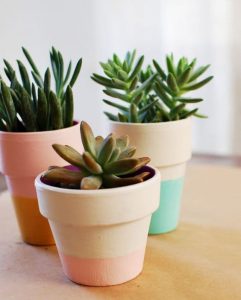 Vasinhos de plantas dão tom de decoração primavera