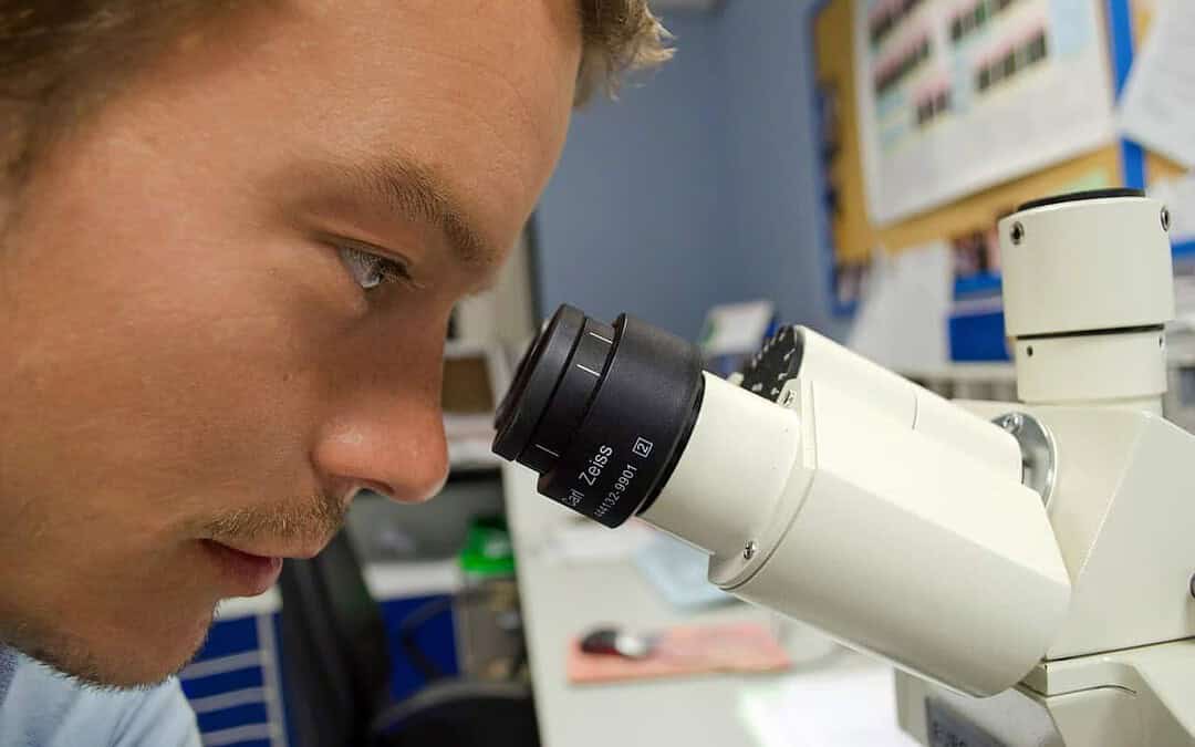 Laboratório de testes