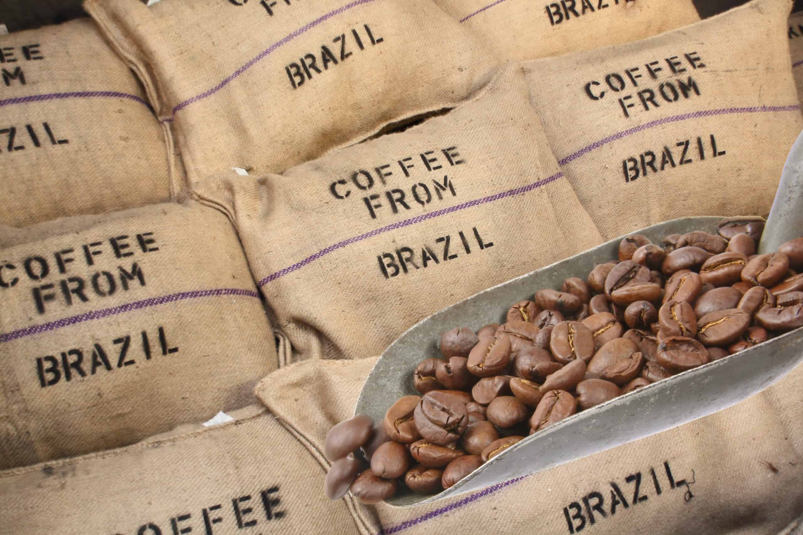 Exportação de café ES bate recorde em 2020 Soma Urbanismo