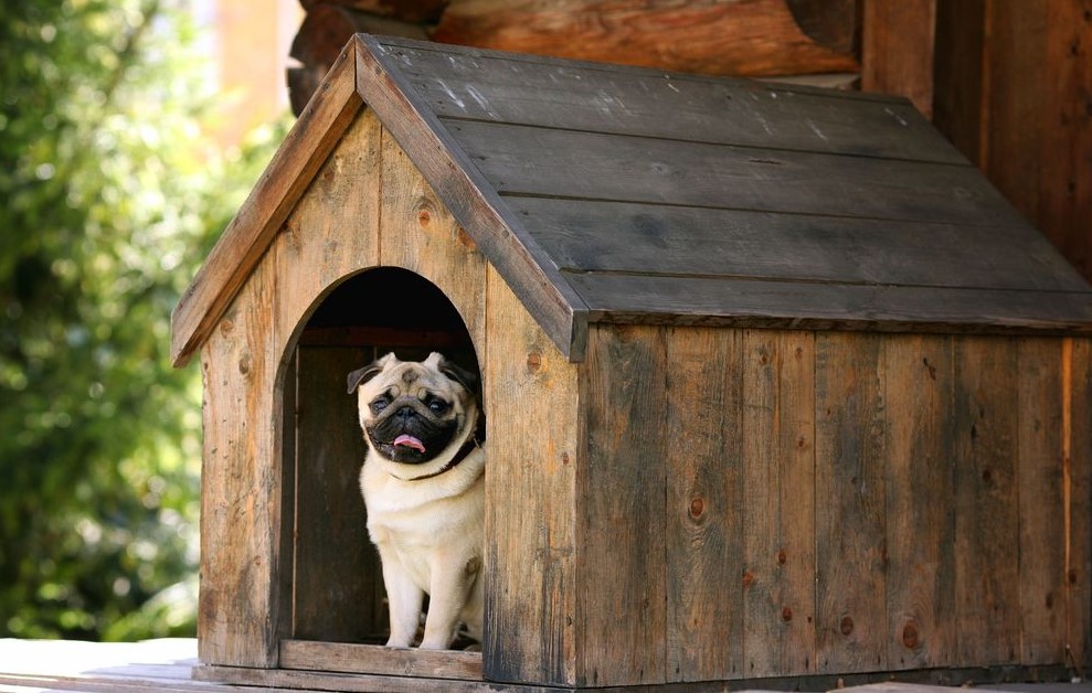 Foto de uma casinha de madeira para cachorro para ilustrar o texto do blog da Soma Urbanismo. 