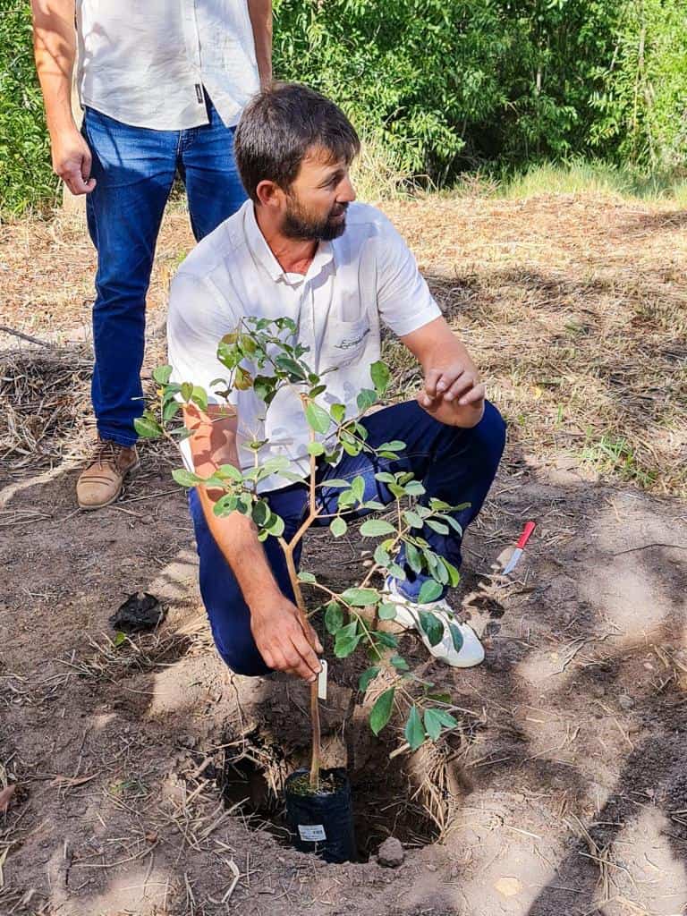 Registro de ação em comemoração a Semana do Meio Ambiente, onde a Soma Urbanismo plantou 60 mudas de árvores no Residencial Jacuí III, um dos empreendimentos da loteadora, em São Mateus, no Norte do Espírito Santo. 