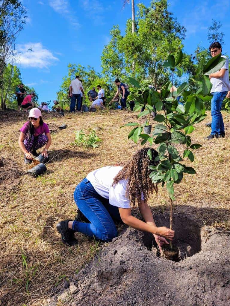 Registro de ação em comemoração a Semana do Meio Ambiente, onde a Soma Urbanismo plantou 60 mudas de árvores no Residencial Jacuí III, um dos empreendimentos da loteadora, em São Mateus, no Norte do Espírito Santo. 