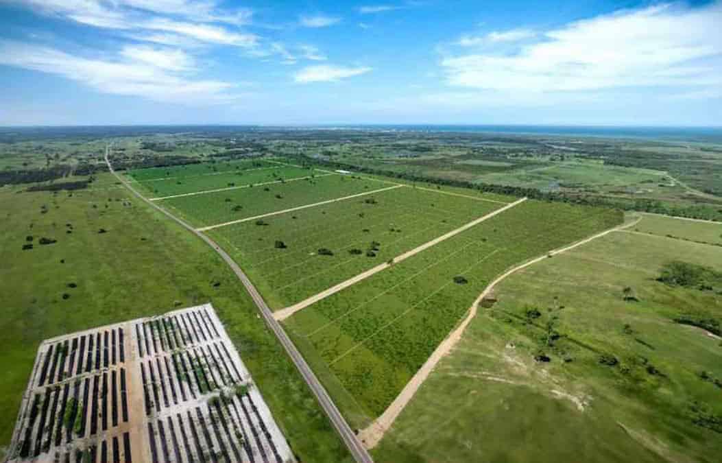 Imagem aérea do novo Vista Verde Espaços Rurais, da Soma Urbanismo.