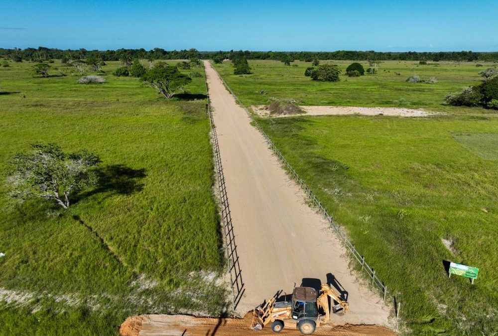 Trator trabalhando na abertura de estrada de terra em meio a uma ampla área verde, com vegetação rasteira e árvores esparsas sob céu azul claro, simbolizando o início de um nova gleba rural em desenvolvimento. Imagem do Vista Verde Espaços Rurais, da Soma Urbanismo.
