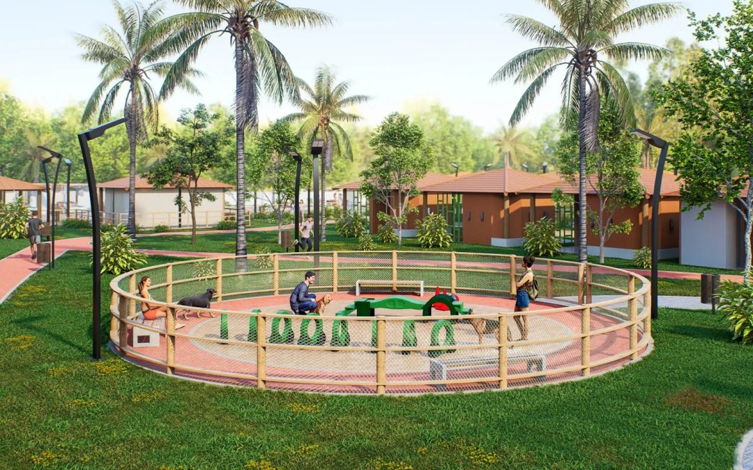 Seu lote também é deles: cuidados essenciais com os pets durante o verão